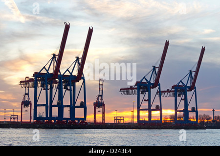 Gru al Terminal Burchardkai di sera, il porto di Amburgo, Germania Foto Stock