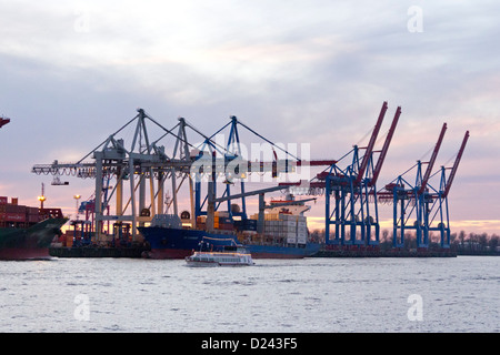 Gru al Terminal Burchardkai di sera, il porto di Amburgo, Germania Foto Stock