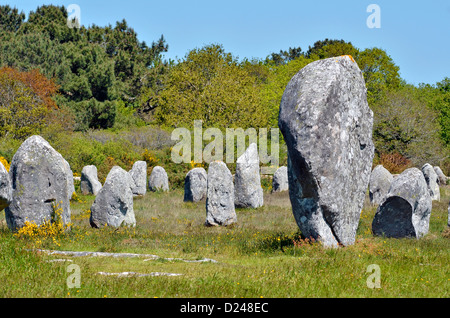 Famose pietre permanente a Carnac nel dipartimento di Morbihan, in Bretagna nel nord-ovest della Francia Foto Stock