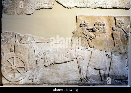 I carri assiri, circa 728 BC da Nimrud, Palazzo centrale questa parete pannello mostra il royal carri e le campagne in Siria e Iran in 738-7 BC. Foto Stock