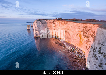 Sunrise a Handfast punto con i pinnacoli la isola di Purbeck Jurassic Coast Dorset Regno Unito Foto Stock