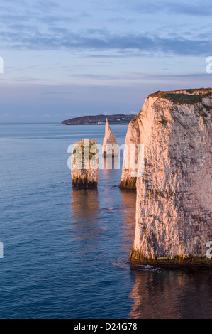 Sunrise a Handfast punto con i pinnacoli la isola di Purbeck Jurassic Coast Dorset Regno Unito Foto Stock