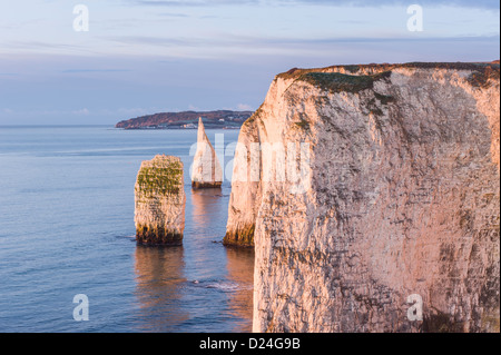 Sunrise a Handfast punto con i pinnacoli la isola di Purbeck Jurassic Coast Dorset Regno Unito Foto Stock