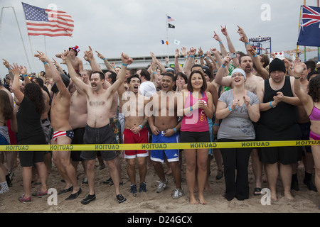 2013: Coney Island Polar Bear Club Nuovo Anno di nuotare nell'Oceano Atlantico; Brooklyn; New York Foto Stock