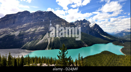 Il Lago Peyto nelle Montagne Rocciose del Canada Foto Stock