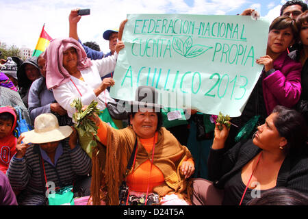 LA PAZ, Bolivia, 14 gennaio. I coltivatori di coca celebrare la Bolivia di ricongiungersi al 1961 delle Nazioni Unite Convenzione unica sugli stupefacenti. La Bolivia ha formalmente ritirato dalla Convenzione nel 2011 e che era stata la campagna per le clausole di vietare gli usi tradizionali della foglia di coca per essere rimosso. Dal 11 gennaio 2013 termine solo 15 paesi (meno di 62 richiesto per bloccare la proposta) aveva registrato un'obiezione alla Bolivia di ricongiungersi alla Convenzione con dispense speciali. Riconnetto entrerà in vigore a partire dal 10 febbraio 2013. Foto Stock