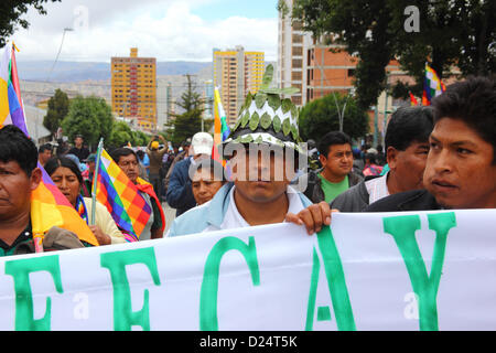 LA PAZ, BOLIVIA, 14 gennaio. I coltivatori di coca (compreso un uomo che indossa un cappello decorato con foglie di coca) marciano per celebrare la ricongiungimento della Bolivia alla Convenzione unica delle Nazioni Unite sulle droghe stupefacenti del 1961. La Bolivia si è formalmente ritirata dalla convenzione nel 2011 e ha fatto campagna per la rimozione delle clausole che vietano gli usi tradizionali della foglia di coca. Entro la scadenza dell'11 gennaio 2013 solo 15 paesi (meno dei 62 richiesti per bloccare la proposta) avevano registrato un'obiezione alla ricongiungimento della Bolivia alla Convenzione con deroghe speciali. Foto Stock