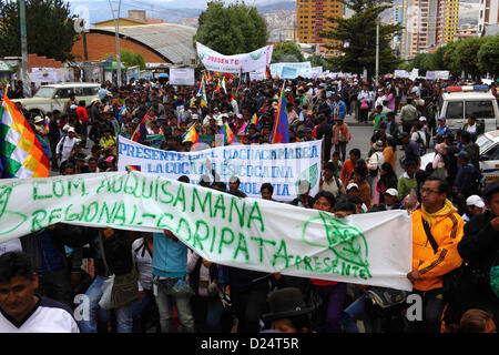 LA PAZ, BOLIVIA, 14 gennaio. I coltivatori di coca di Coripata, nella regione di Yungas, marciano per celebrare la ricongiungimento della Bolivia alla Convenzione unica delle Nazioni Unite sugli stupefacenti del 1961. La Bolivia si è formalmente ritirata dalla convenzione nel 2011 e ha fatto campagna per l'eliminazione delle clausole che vietano gli usi tradizionali della foglia di coca (ingrediente grezzo della cocaina). Entro la scadenza dell'11 gennaio 2013 solo 15 paesi (meno dei 62 richiesti per bloccare la proposta) avevano registrato un'obiezione alla ricongiungimento della Bolivia alla Convenzione con deroghe speciali. La riconnessione entrerà in vigore dal 10 febbraio 2013. Foto Stock