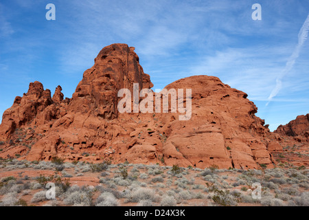 Arenaria formazioni di roccia visto come un certo numero di oggetti tra cui una scimmia della valle del fuoco del parco statale nevada usa Foto Stock