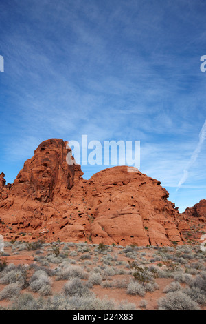 Arenaria formazioni di roccia visto come un certo numero di oggetti tra cui una scimmia della valle del fuoco del parco statale nevada usa Foto Stock