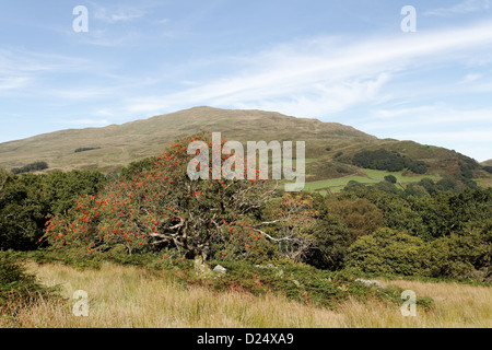 Vista verso Yr Aran, Snowdonia Foto Stock