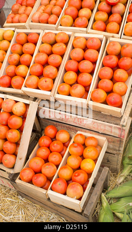 Scatole di pomodori, mature e frutti saporiti e verdure al fair Foto Stock