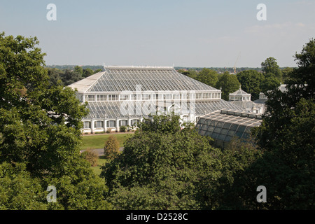 La temperata House vista dal Rhizotron e Xstrata Treetop marciapiede, Royal Botanic Gardens, Kew, Inghilterra. Foto Stock