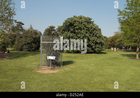 Il protetto di Pino Wollemi (Wollemia nobilis), pensato una volta estinto, Royal Botanic Gardens, Kew, Surrey, Inghilterra. Foto Stock