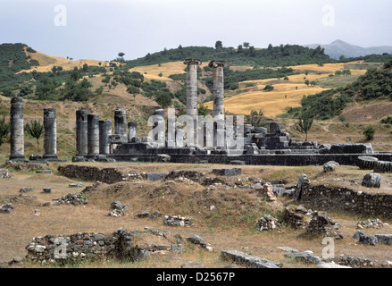 Tempio di Artemide, Sardi, Turchia 690607 034 Foto Stock