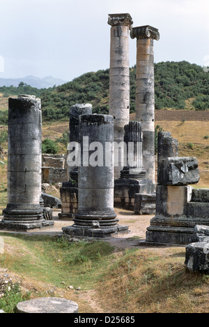 Tempio di Artemide, Sardi, Turchia 690607 101 Foto Stock