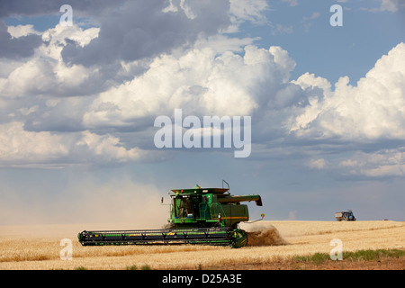 John Deere 9770 STS Harvester lavorando nel campo con temporale edificio in background. Foto Stock