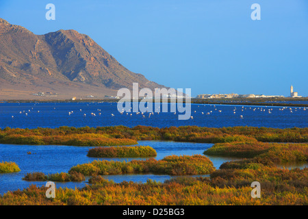 Almadraba de Monteleva, saline, Cabo de Gata-Nijar Parco naturale e riserva della biosfera, provincia di Almeria, Andalusia, Spagna Foto Stock