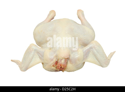 Il pollo crudo isolati su sfondo bianco Foto Stock
