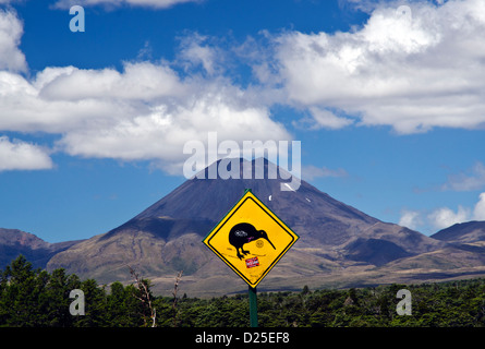 Kiwi segno di fronte al Monte Ngauruhoe Foto Stock