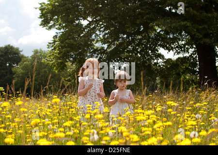 Due bambine in piedi in un selvaggio fiore prato, tenendo tarassaco orologi Foto Stock