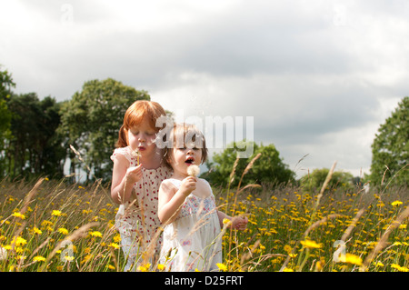 Due bambine in piedi in un selvaggio fiore prato, soffiando tarassaco orologi Foto Stock