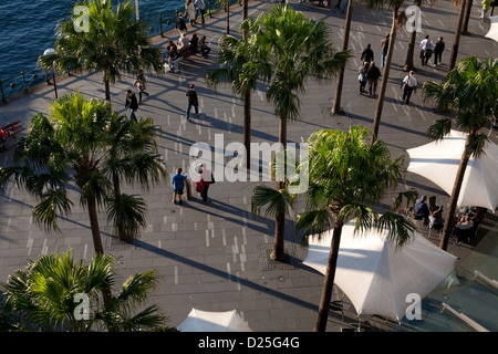 I turisti a piedi lungo la passeggiata sotto le palme a Circular Quay di Sydney Australia Foto Stock