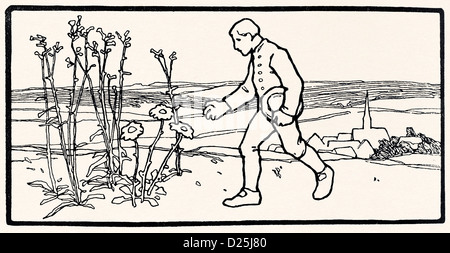 Uomo fiore spenna Foto Stock