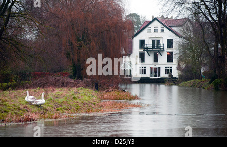 Ellingham mill norfolk Inghilterra Foto Stock