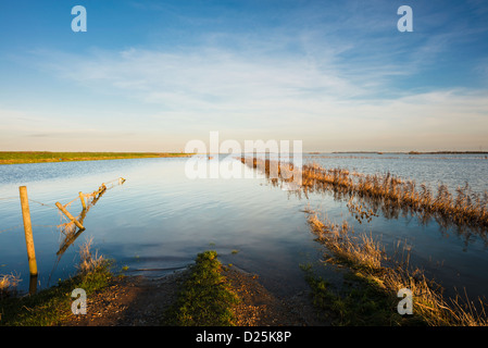 Il fiume Nene inondazioni Whittlesey lavaggi, vicino a Dog-in-a-doppietto Bridge, nelle paludi tra Peterborough e Whittlesey Foto Stock