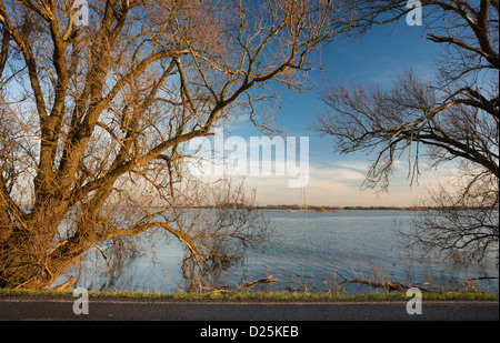 Il fiume Nene inondazioni Whittlesey lavaggi, vicino a Dog-in-a-doppietto Bridge, nelle paludi tra Foto Stock