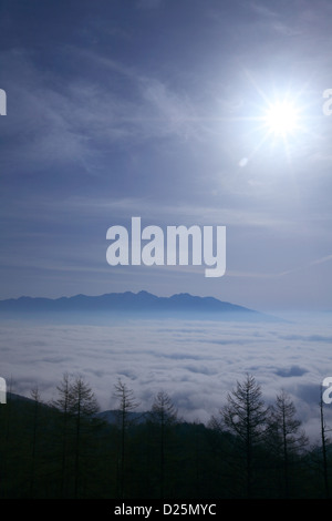 Alberi e cielo blu con nuvole, Prefettura di Nagano Foto Stock