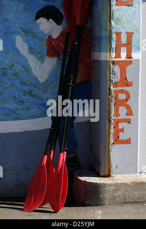 Canoa pagaie nella parte anteriore di un noleggio di canoe shop a Lambton Harbour, Wellington. Foto Stock