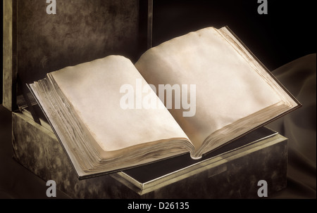 Vecchio libro aperto. Due pagine vuote con texture originale Foto Stock