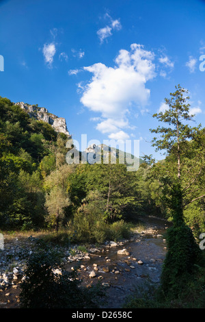 I Carpazi, Cerna Valley vicino a Baile Herculane. La Romania. Foto Stock