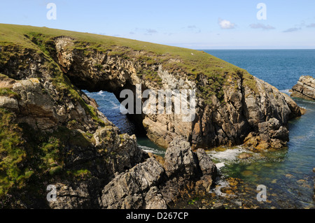 Bwa Du testa Rhoscolyn Anglsey percorso sulla costa del Galles Cymru REGNO UNITO GB Foto Stock