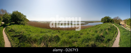 Geltinger Birk, Germania, un sentiero escursionistico in una riserva naturale Geltinger Birk Foto Stock