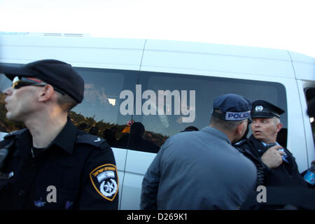 Gen 15, 2013 - Ramallah, West Bank, Territorio palestinese - frontiera israeliana ufficiali della polizia palestinese a detenere i manifestanti in una zona conosciuta come ''E1', che collega le due parti del popolo israeliano-West Bank occupata fuori sobborghi araba di Gerusalemme Est Gennaio 15, 2013. La polizia israeliana, usando granate stun, bloccati circa 50 attivisti palestinesi che hanno cercato il martedì di rioccupare tende si accampò la scorsa settimana su una patch di Cisgiordania terra che Israele vuole per insediamenti ebraici (credito Immagine: © Issam Rimawi APA/images/ZUMAPRESS.com) Foto Stock