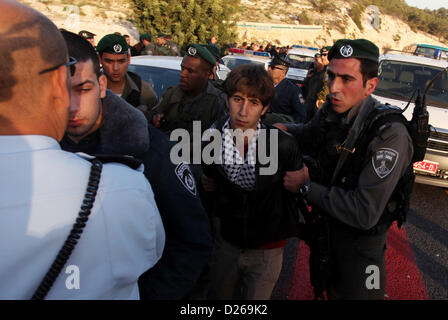 Gen 15, 2013 - Ramallah, West Bank, Territorio palestinese - frontiera israeliana degli ufficiali di polizia di trattenere un manifestante palestinese in una zona conosciuta come ''E1', che collega le due parti del popolo israeliano-West Bank occupata fuori sobborghi araba di Gerusalemme Est Gennaio 15, 2013. La polizia israeliana, usando granate stun, bloccati circa 50 attivisti palestinesi che hanno cercato il martedì di rioccupare tende si accampò la scorsa settimana su una patch di Cisgiordania terra che Israele vuole per insediamenti ebraici (credito Immagine: © Issam Rimawi APA/images/ZUMAPRESS.com) Foto Stock