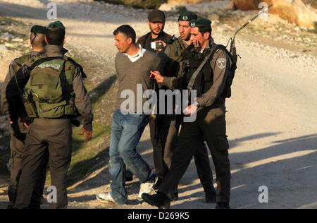 Gen 15, 2013 - Ramallah, West Bank, Territorio palestinese - frontiera israeliana degli ufficiali di polizia di trattenere un manifestante palestinese in una zona conosciuta come ''E1', che collega le due parti del popolo israeliano-West Bank occupata fuori sobborghi araba di Gerusalemme Est Gennaio 15, 2013. La polizia israeliana, usando granate stun, bloccati circa 50 attivisti palestinesi che hanno cercato il martedì di rioccupare tende si accampò la scorsa settimana su una patch di Cisgiordania terra che Israele vuole per insediamenti ebraici (credito Immagine: © Issam Rimawi APA/images/ZUMAPRESS.com) Foto Stock