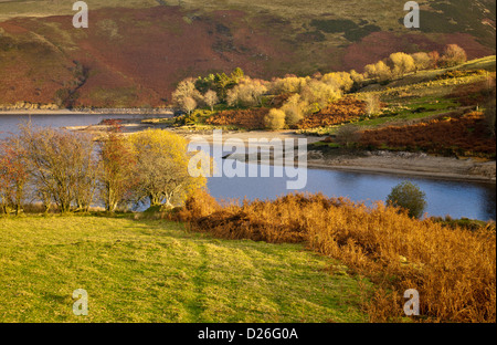 LLYN CLYWEDOG serbatoio di grandi dimensioni nelle colline di Powys GALLES Foto Stock