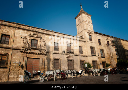 Il trasporto in Plaza del Triunfo - Spagna Foto Stock
