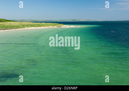 Spiaggia di sabbia sulla piccola isola di Glims Holm in isole di Orkney, Scozia. Foto Stock