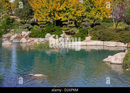 Koi pond litorale in autunno Foto Stock