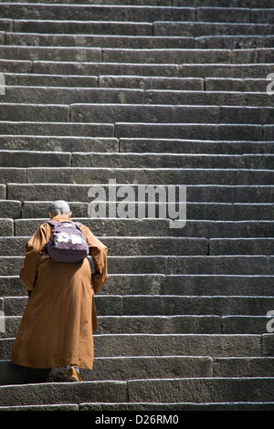 La donna a piedi fino a passi Chionin tempio di Kyoto in Giappone Foto Stock