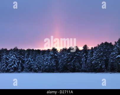 Glowing red sunset behind snow covered trees. Atmospheric landscape wintertime nature scenery at Algonquin Provincial Park Foto Stock