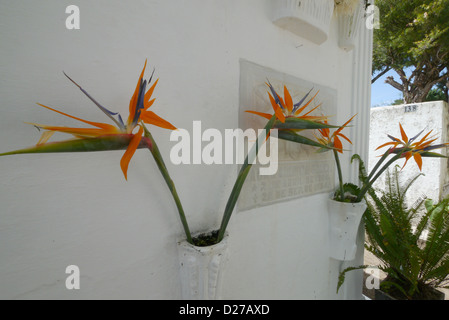 Nel cimitero principale. Sepolcri adornati con fiori. Antigua il giorno dei morti. Foto Stock