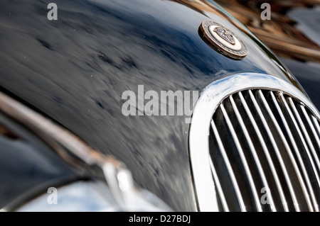 Emblema di cofano di inizio jaguar Foto Stock