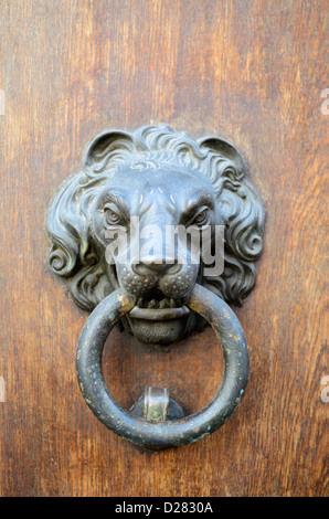 La porta di metallo respingente in forma di una testa di leone Foto Stock