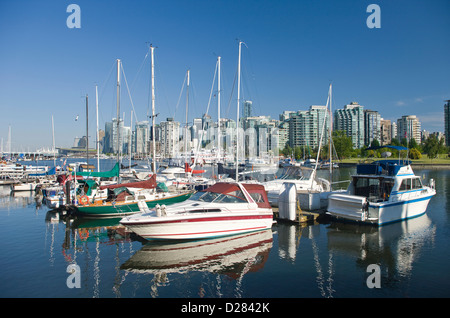 COAL HARBOUR DAL ROYAL VANCOUVER YACHT CLUB PARCO STANLEY skyline di downtown Vancouver British Columbia CANADA Foto Stock